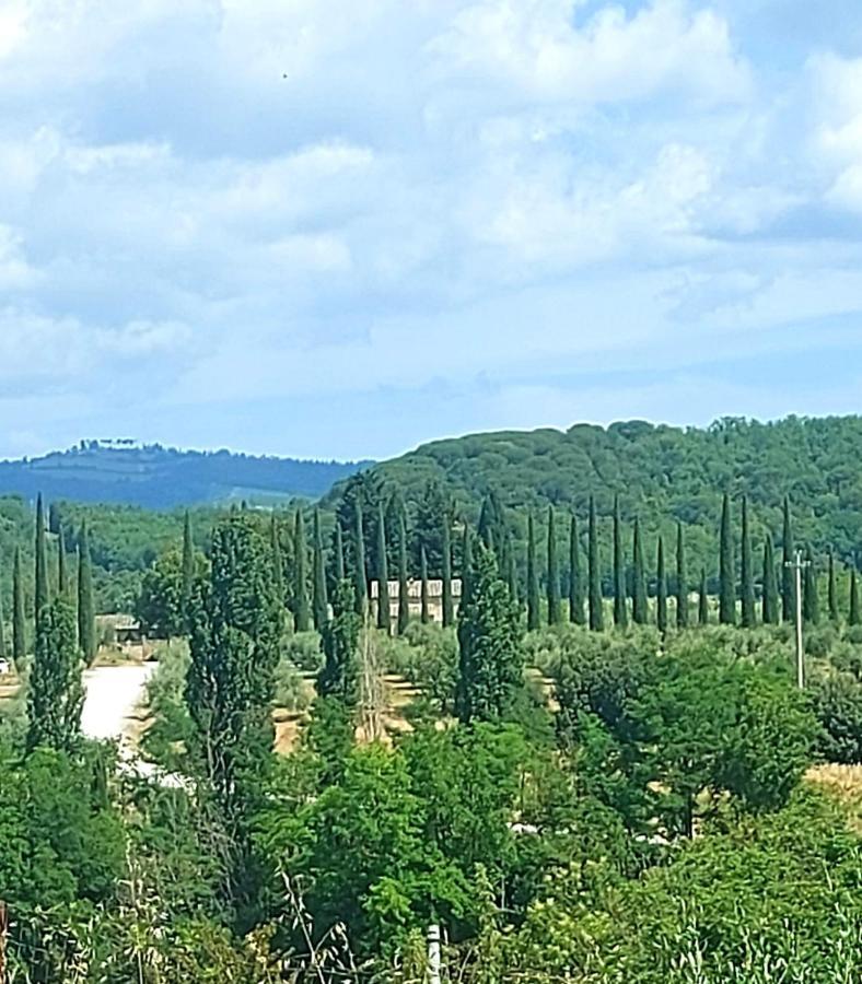 Villa La Casa Di Elvira2 Castelnuovo Berardenga Exterior foto